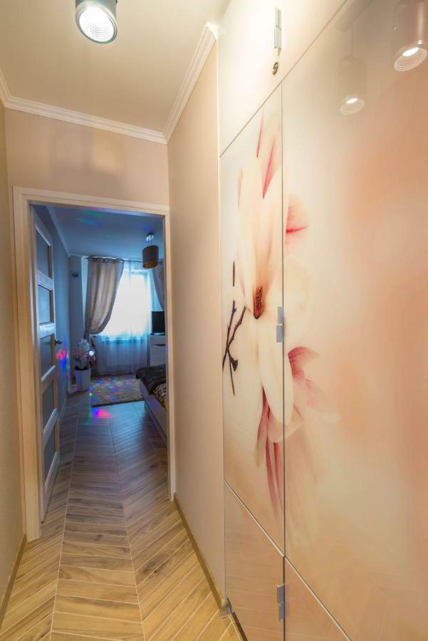Apartament Bon Appetit - Krupowki-扎科帕内 外观 照片